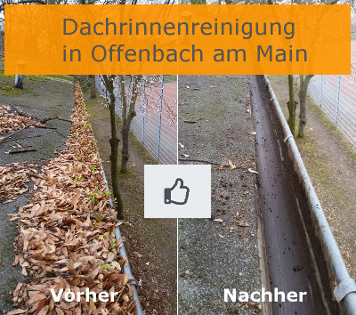 Dachrinnenreinigung Offenbach am Main